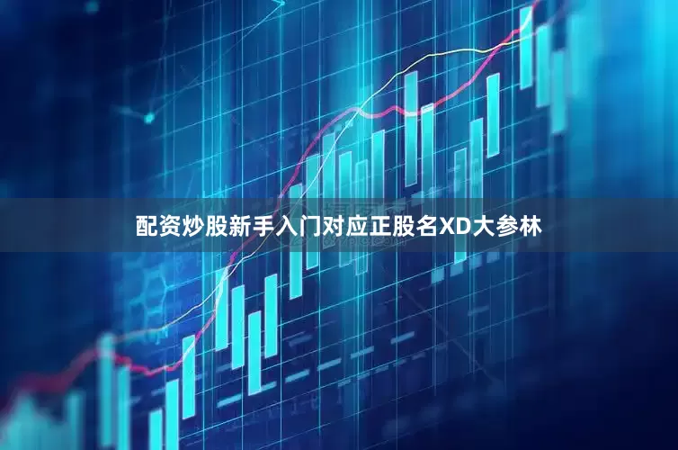 配资炒股新手入门对应正股名XD大参林