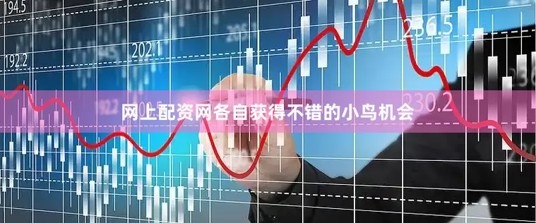 网上配资网各自获得不错的小鸟机会
