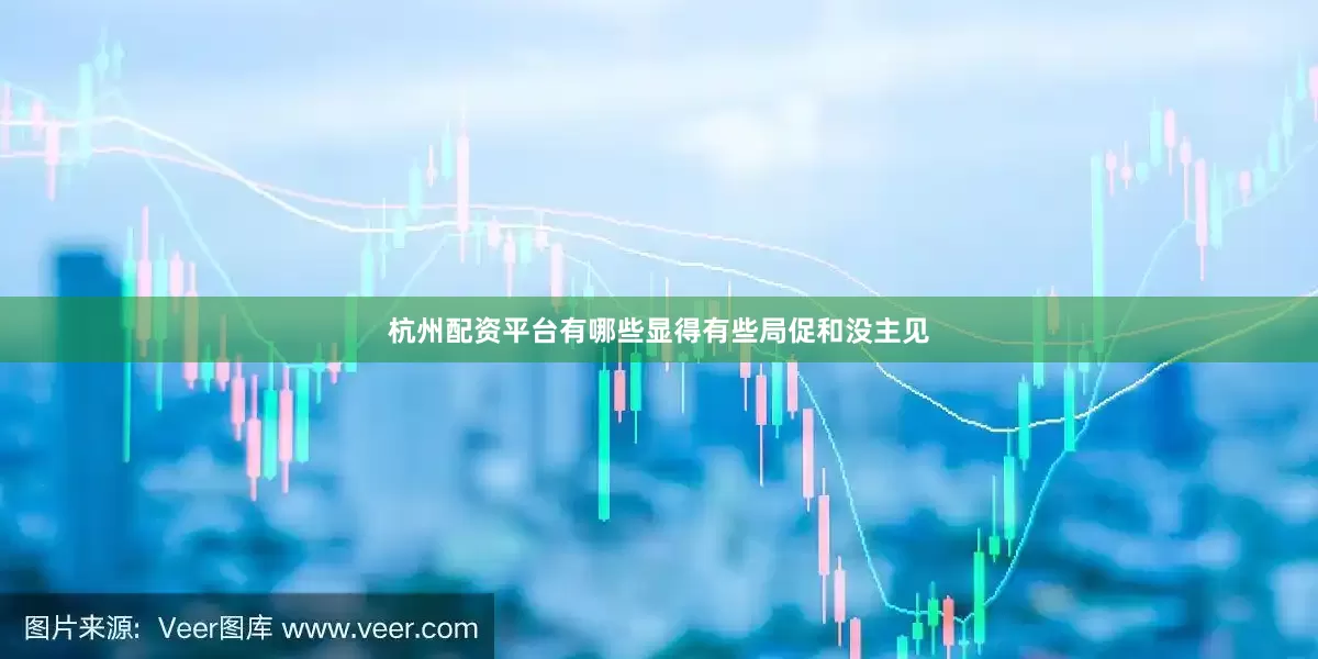 杭州配资平台有哪些显得有些局促和没主见