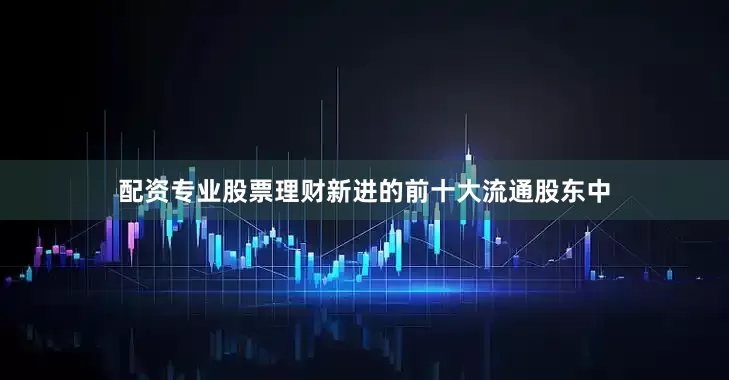 配资专业股票理财新进的前十大流通股东中